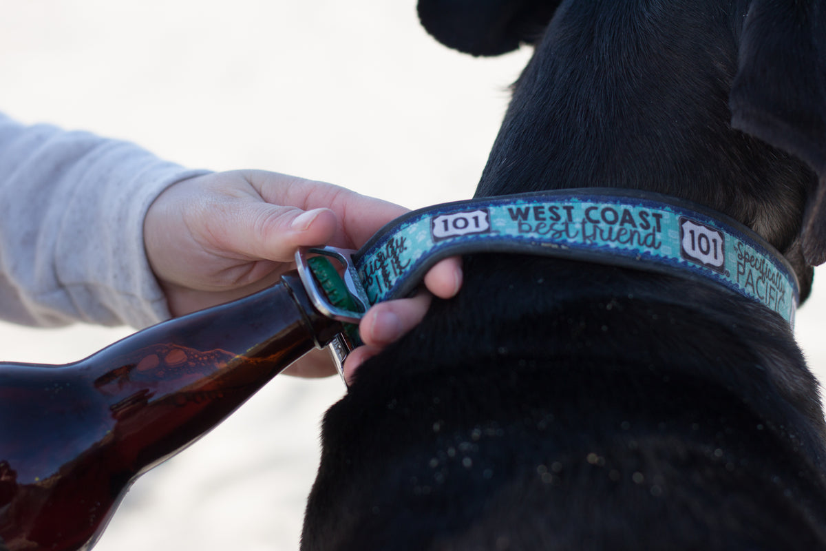 Recycled Bike Tire Dog Collars & Leash Specifically Pacific